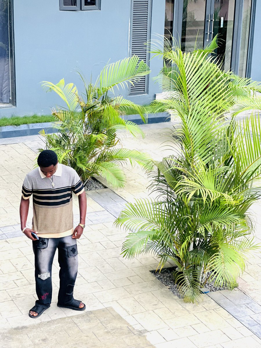 Prince✨ tweet media