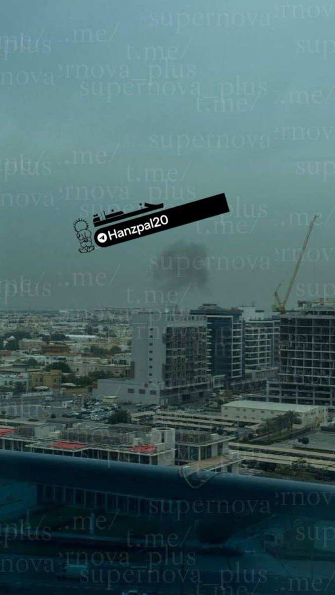 S2FUncensored tweet media