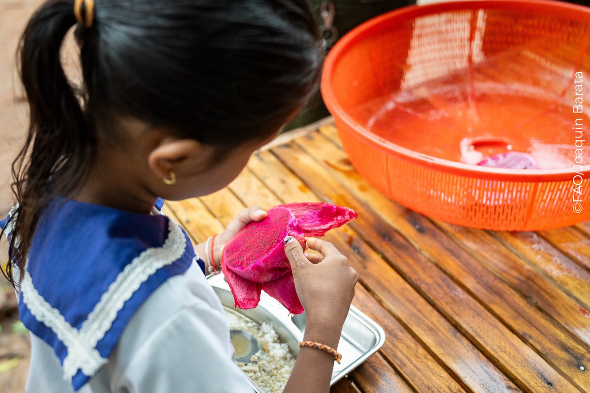 FAO en République du Congo tweet media