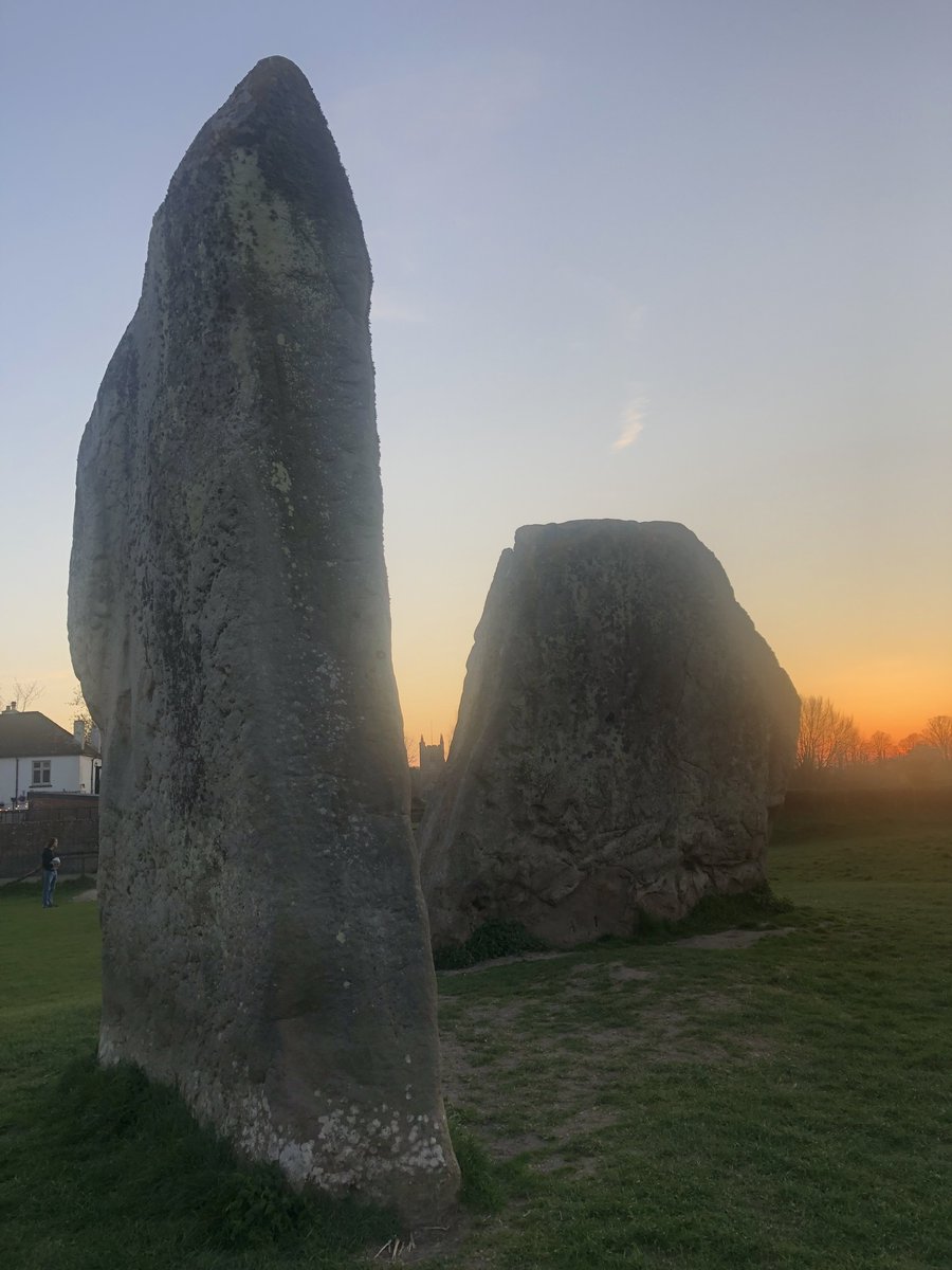 Fiona Robertson tweet media