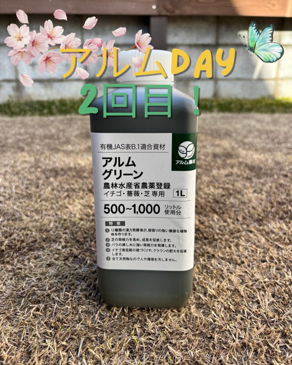 almtimer's tweet photo. アルムグリーンファンの皆様
おはようございます。本日第2回目のアルムグリーンタイマー通知日です。 各自地域の天気予報やご自身の計画、芝生の状況と相談の上、散布を行ってください。
散布しましたらぜひ、リポストやコメントで報告してください！
写真協力 @taichi6025 
ありがとうございました！ https://t.co/NvGldmGXGL