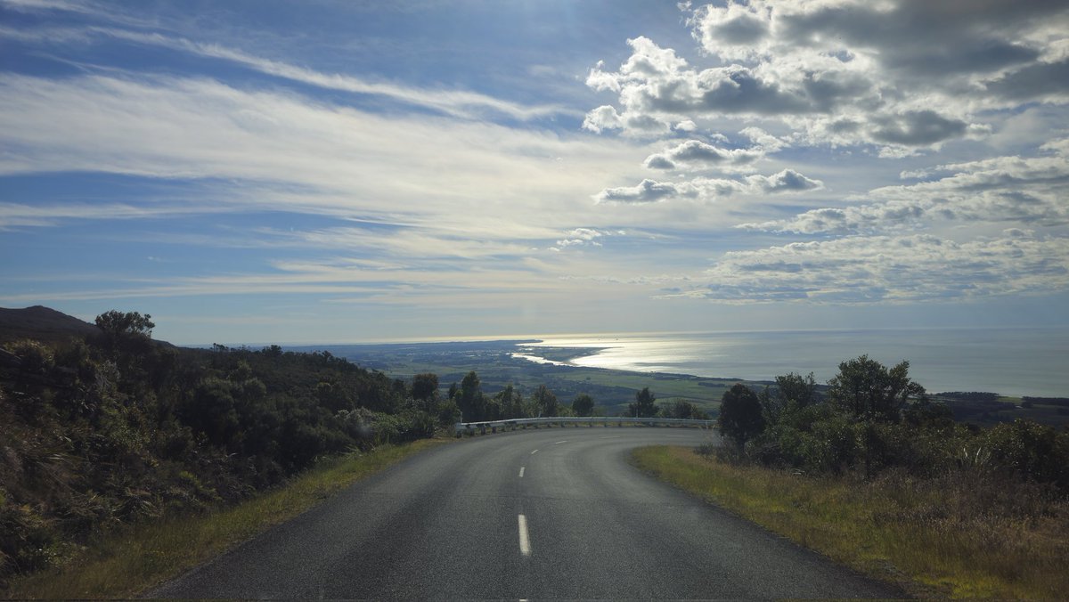 CelestiaLudenberg 🇳🇿 tweet media