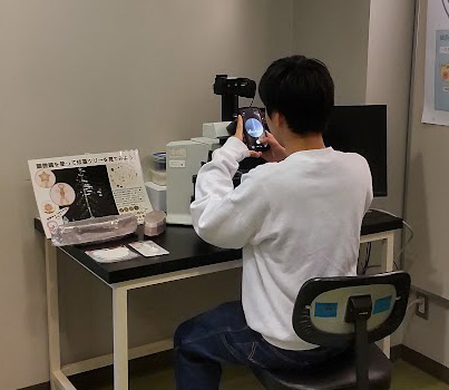 mcc_NIES's tweet photo. 今日は愛知県から高校生のみなさんが施設見学に来てくださいました。藻類の顕微鏡観察、におい嗅ぎ体験、細胞凍結保存施設の見学など、盛りだくさんの内容でした。 特に におい嗅ぎ体験 と 珪藻の殻の観察 が大人気🔬✨遠方からの訪問、お疲れさまでした😀 https://t.co/sAmXkTmlgB