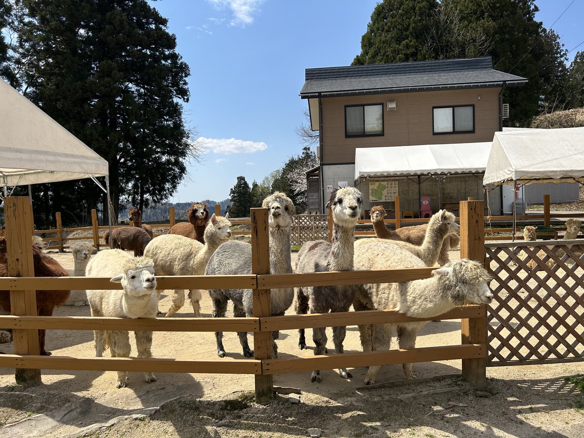 りーまん | 中卒ラジオディレクター tweet media