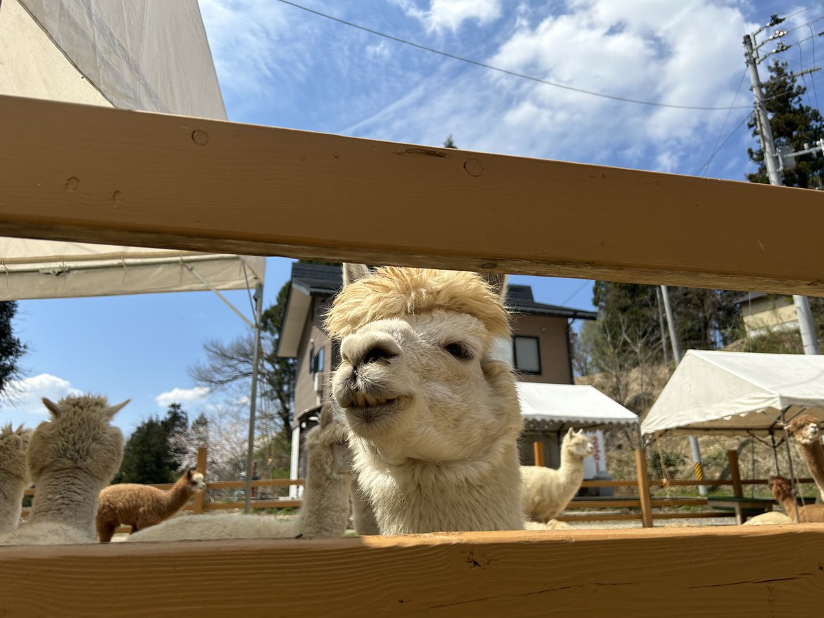 りーまん | 中卒ラジオディレクター tweet media