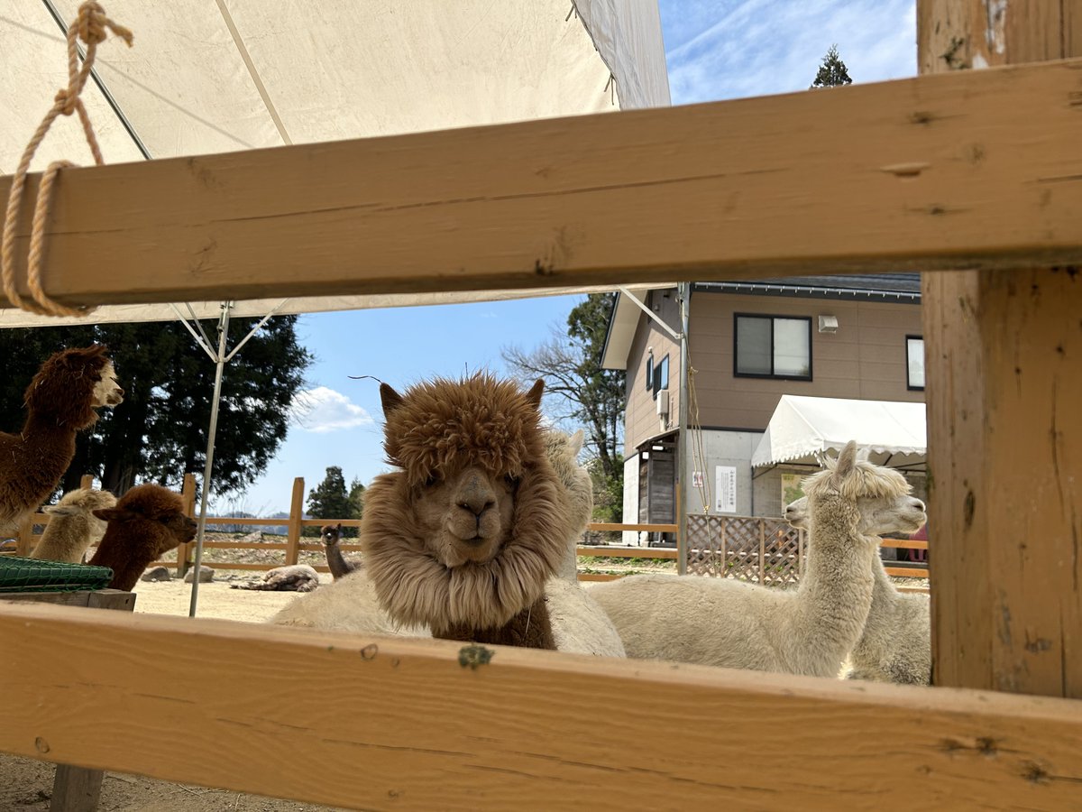 りーまん | 中卒ラジオディレクター tweet media