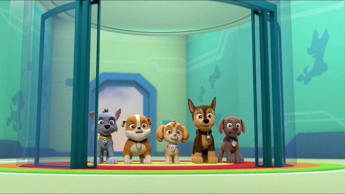 Zuma Pup Fanatic tweet media