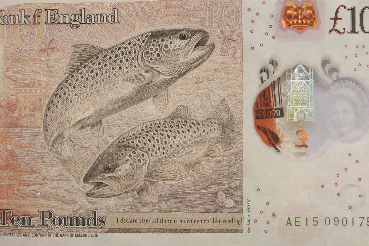 Chair Wild Trout Trust tweet media