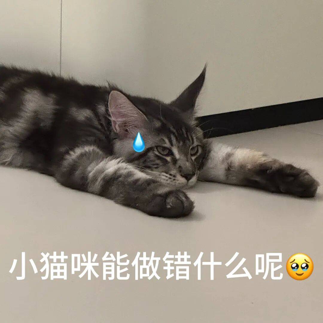 Mehakrajput1920's tweet photo. 今日份摸鱼！在《xx游戏》里养的小猫咪终于学会翻肚皮啦 还蹭了蹭我的游戏角色手手～治愈值拉满 https://t.co/o2ZKi9T27e