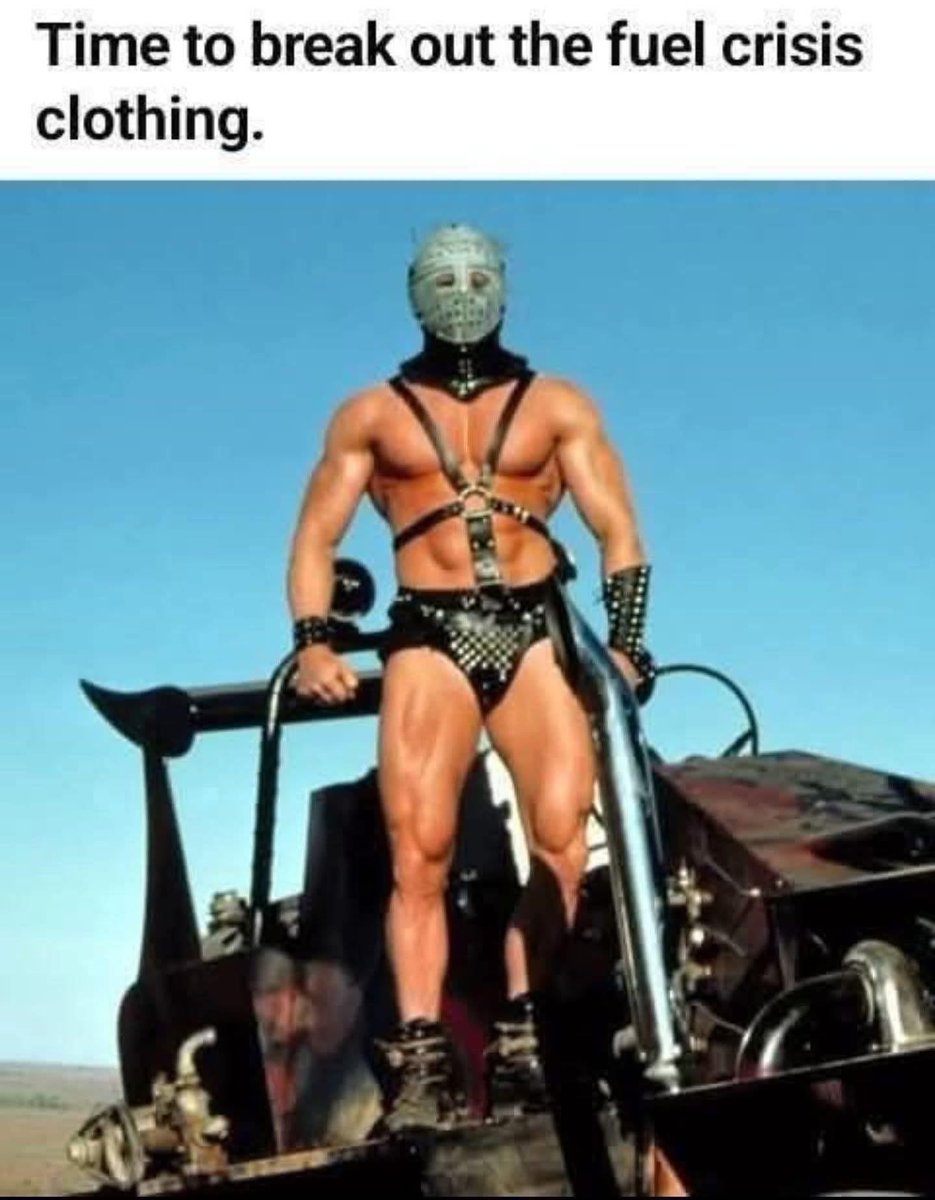 Tom Wolves Tastic tweet media