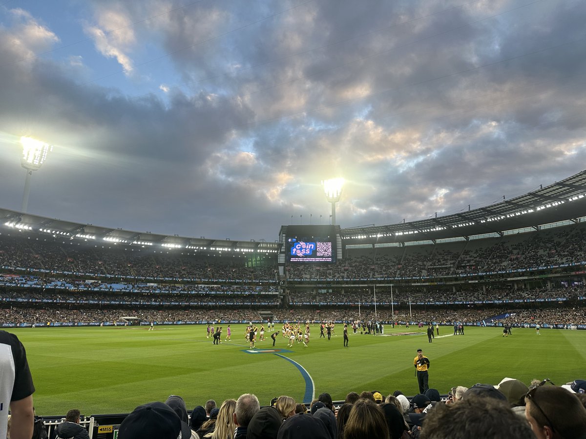 BluesNuff tweet media