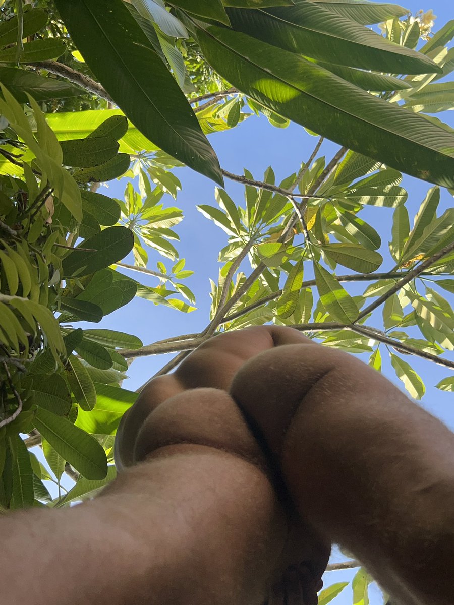 S_karlin1's tweet photo. Jungle mood 
#нюдсочетверг https://t.co/Frbca1ono6