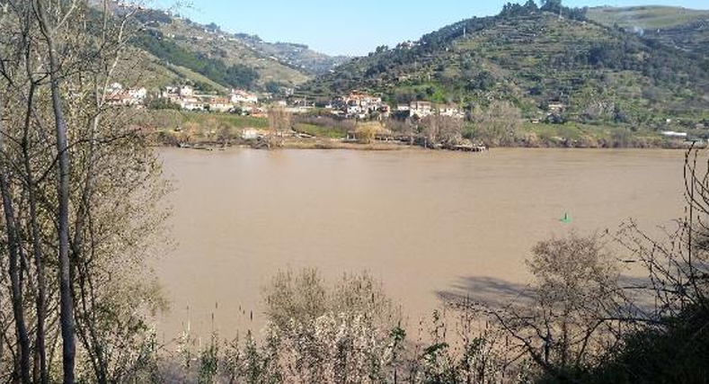 CCDR NORTE tweet media