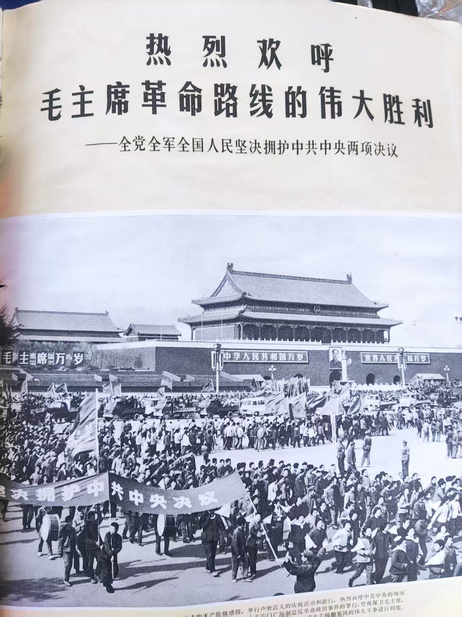 海里最红的. tweet media