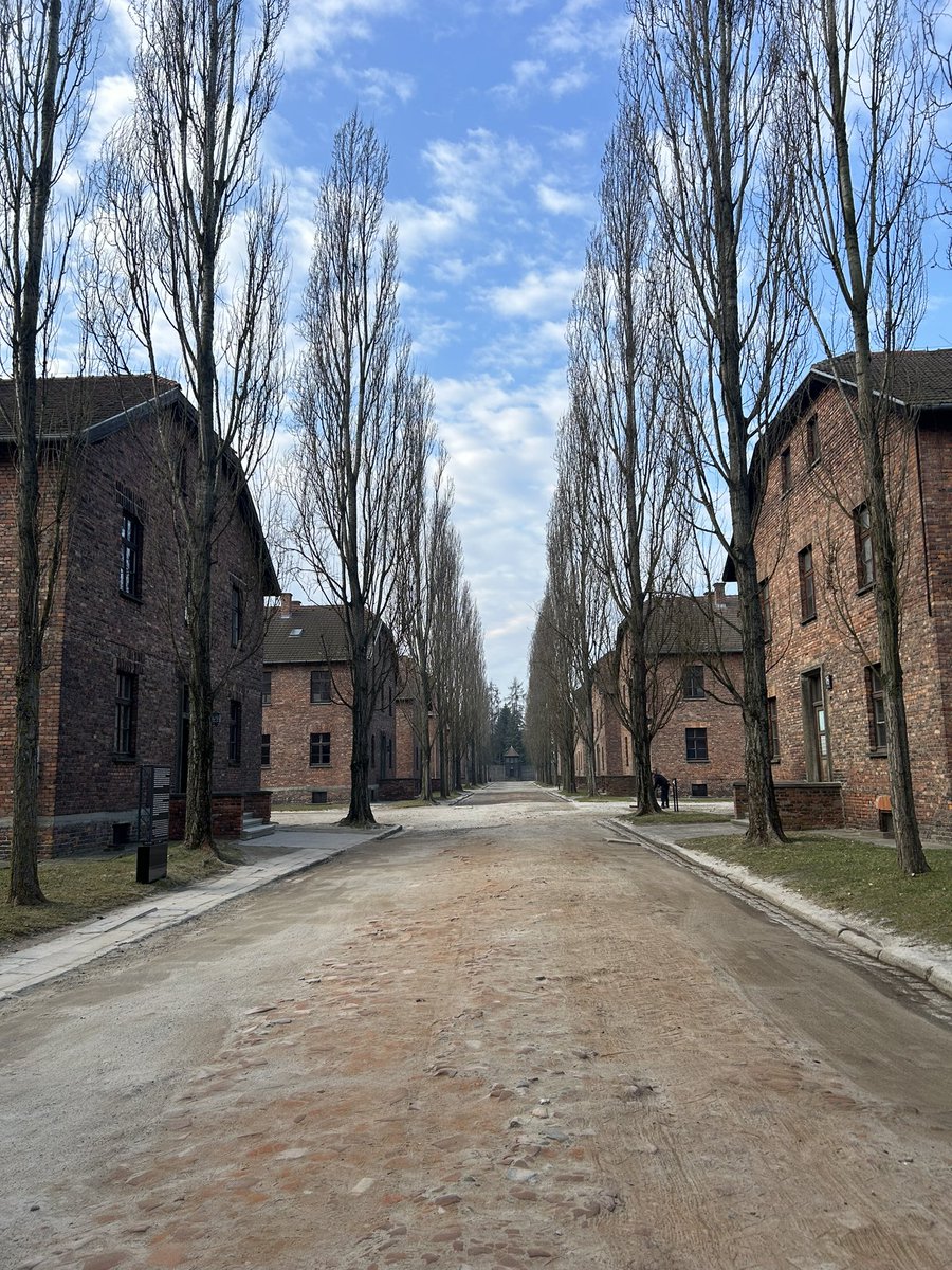 Live 4now forget forever🫶🏼 tweet media