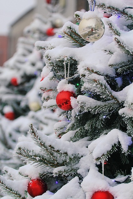 Jason Mantooth tweet media