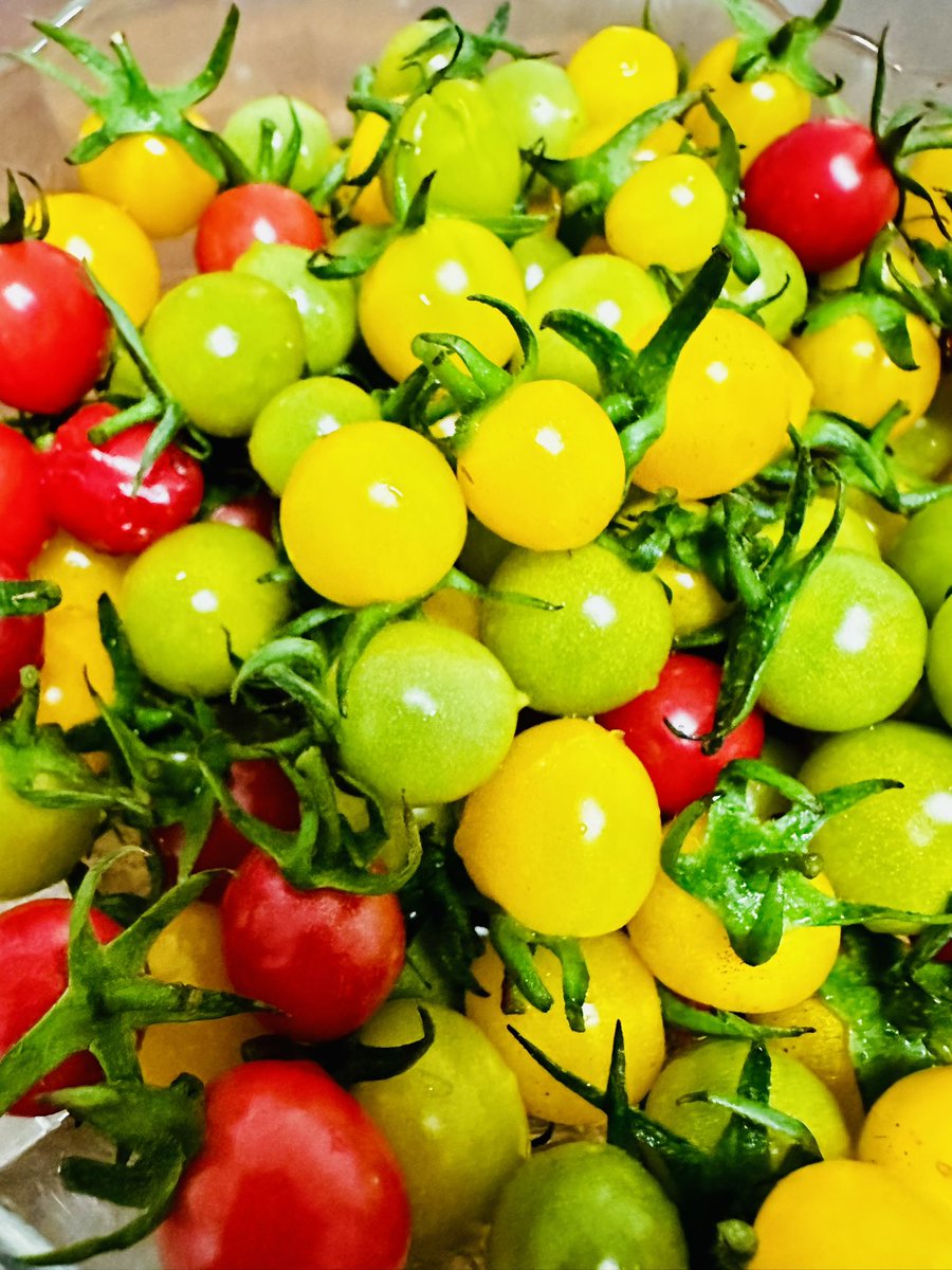 湖畔竞走🏃♂️➡️ tweet media