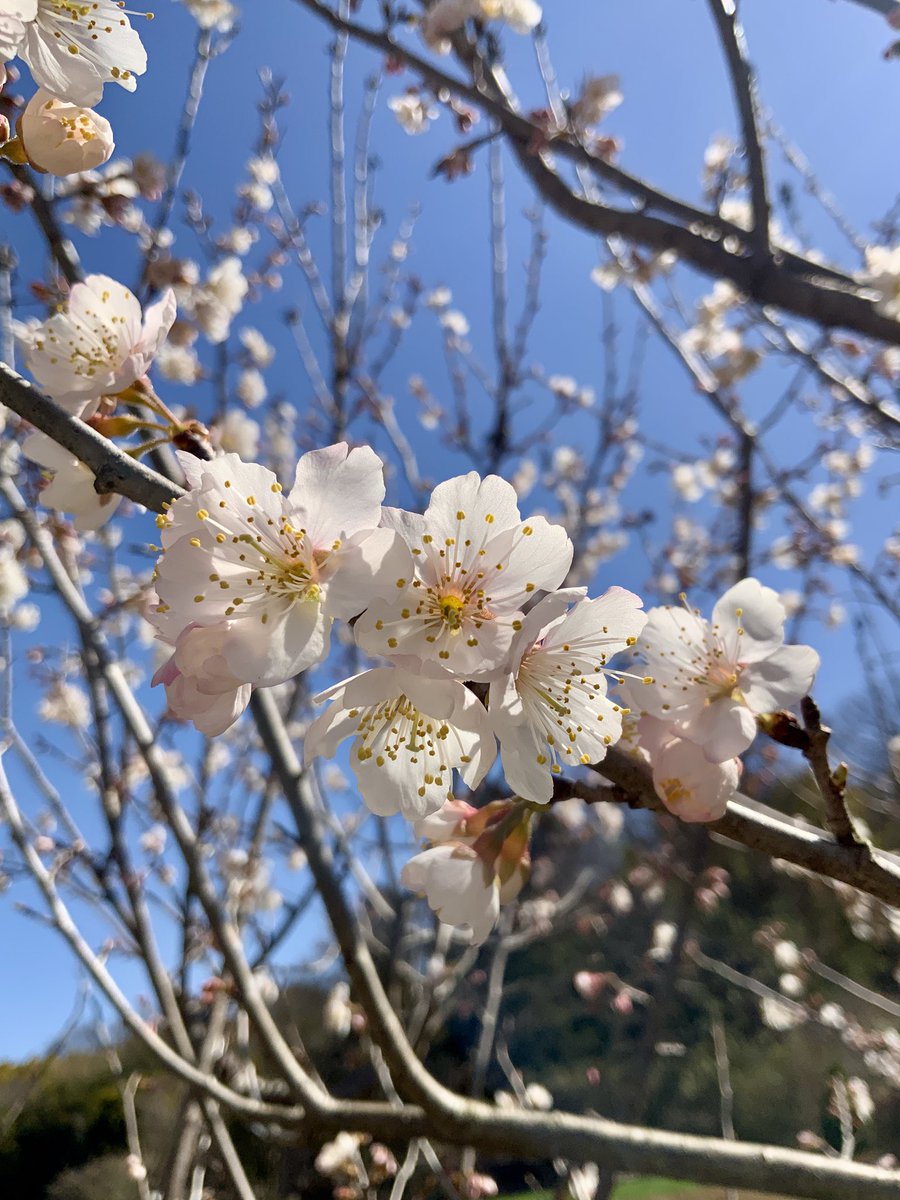 #TLを花でいっぱいにしよう

今から帰ります

帰宅してから洗濯物を片付け
作業服を洗濯し晩御飯の準備に取りかかるまで
『30分だけのんびりしよう』って思っても
気がついたら1時間が過ぎてる事がある😢

今日も1日お疲れ様でした😊