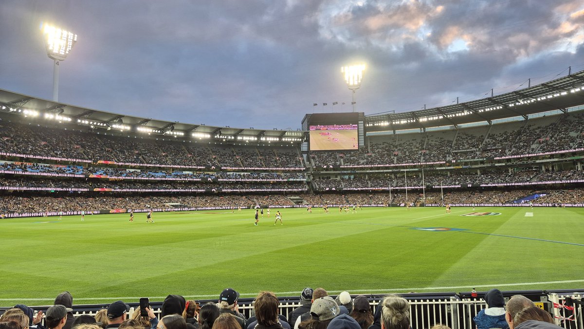 Tony Mosca tweet media