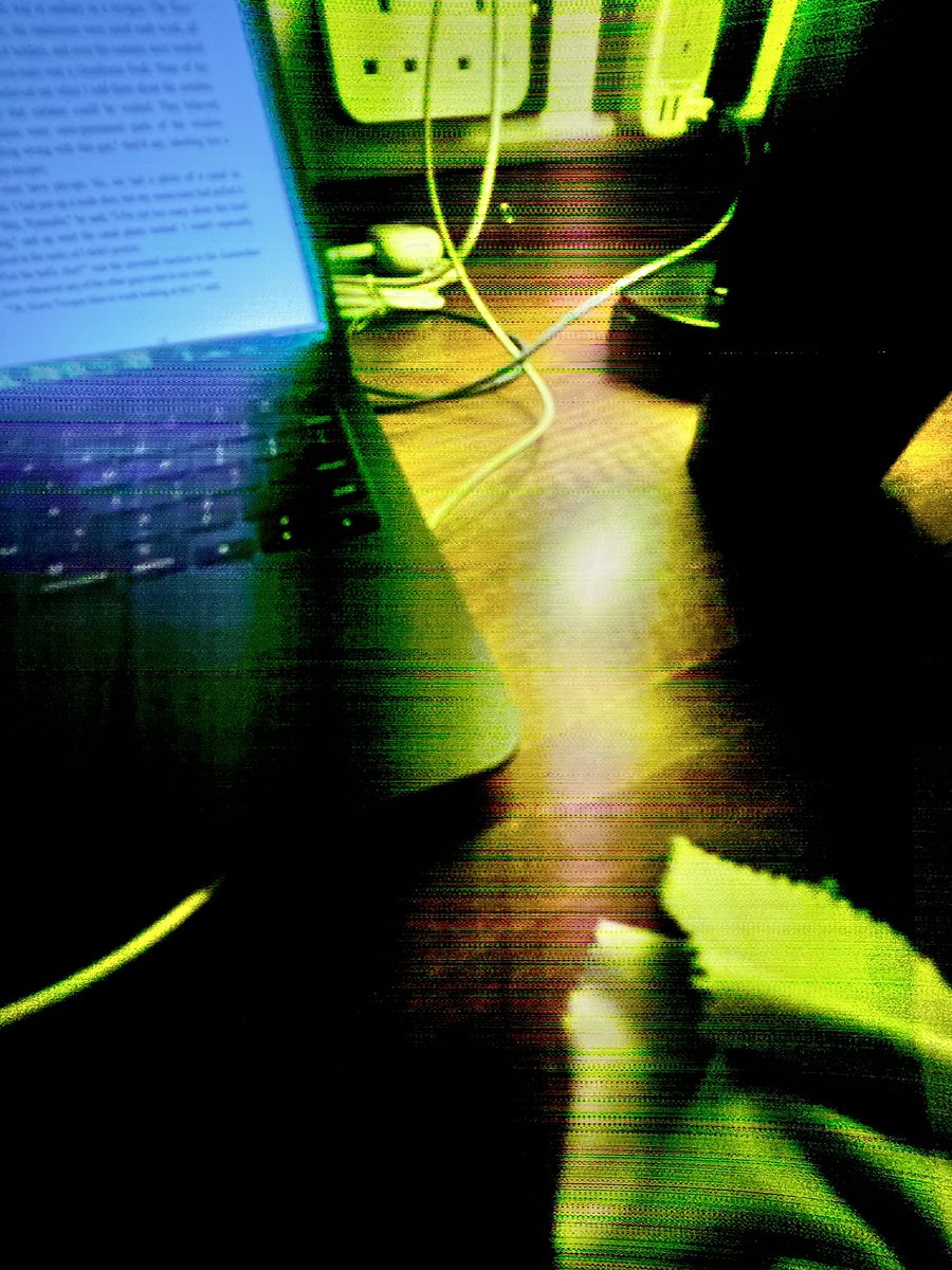 gordie by the sea 🏴󠁧󠁢󠁳󠁣󠁴󠁿 tweet media