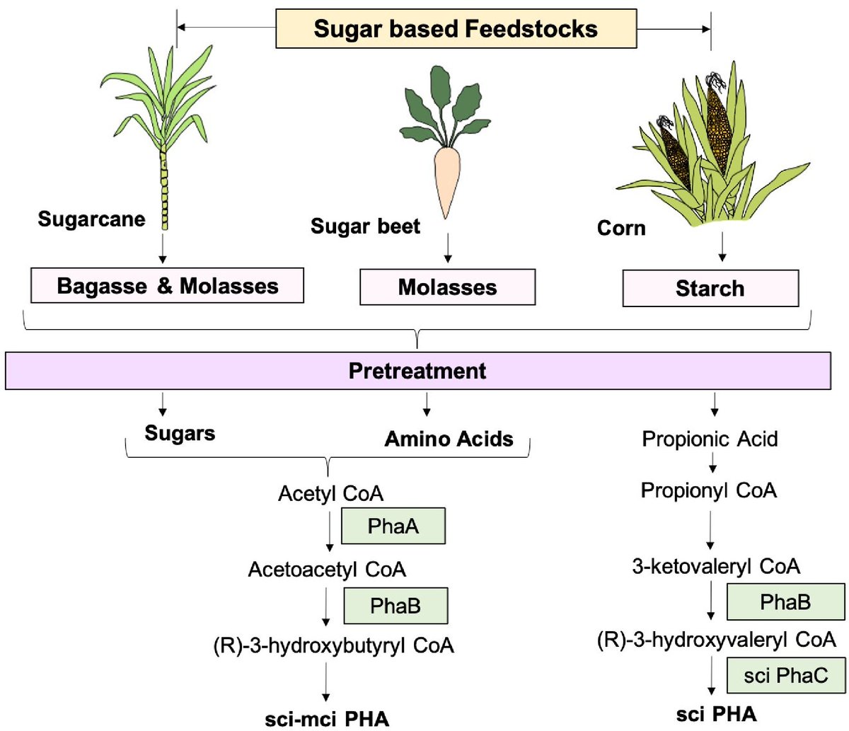 Ecological Agriculture Research tweet media