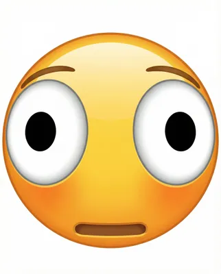 Louise de Sadeleer tweet media