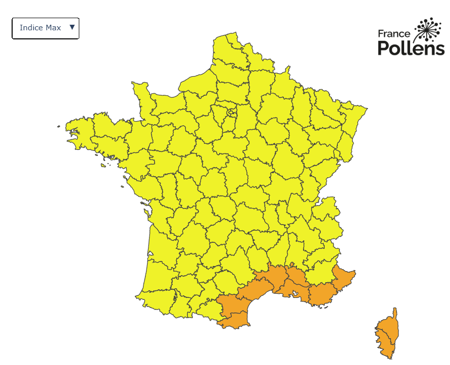 France Pollens tweet media