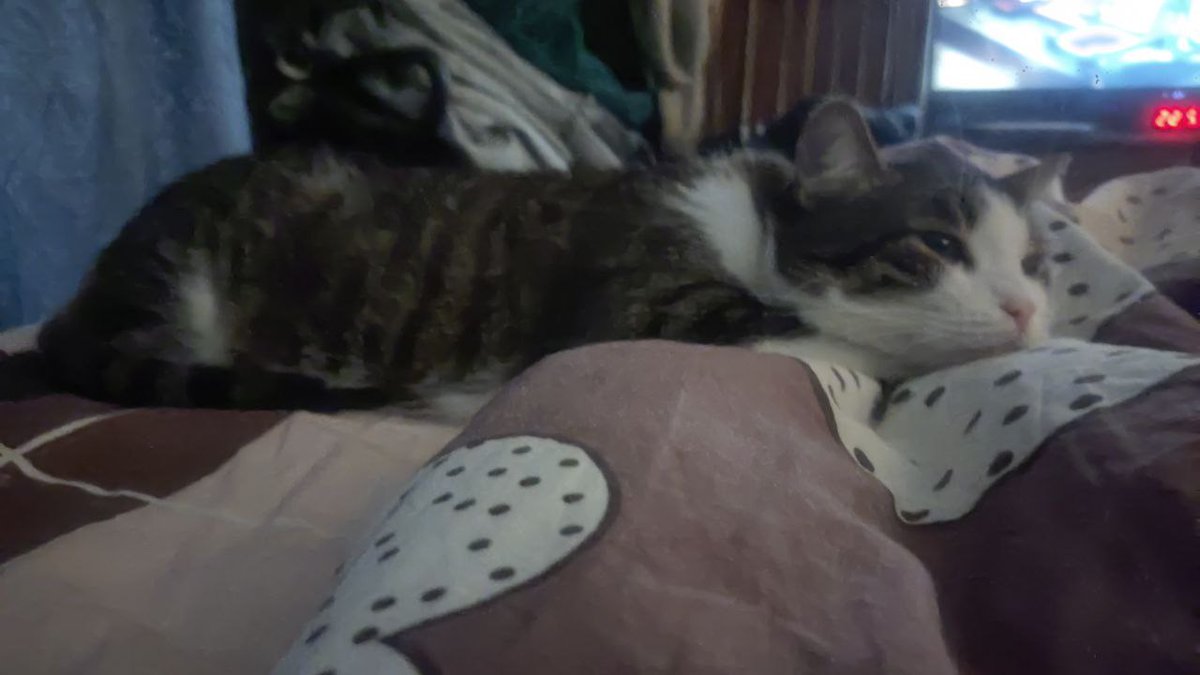 Tory Jam 🇺🇦🕊️ tweet media