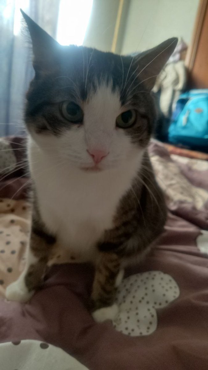 Tory Jam 🇺🇦🕊️ tweet media