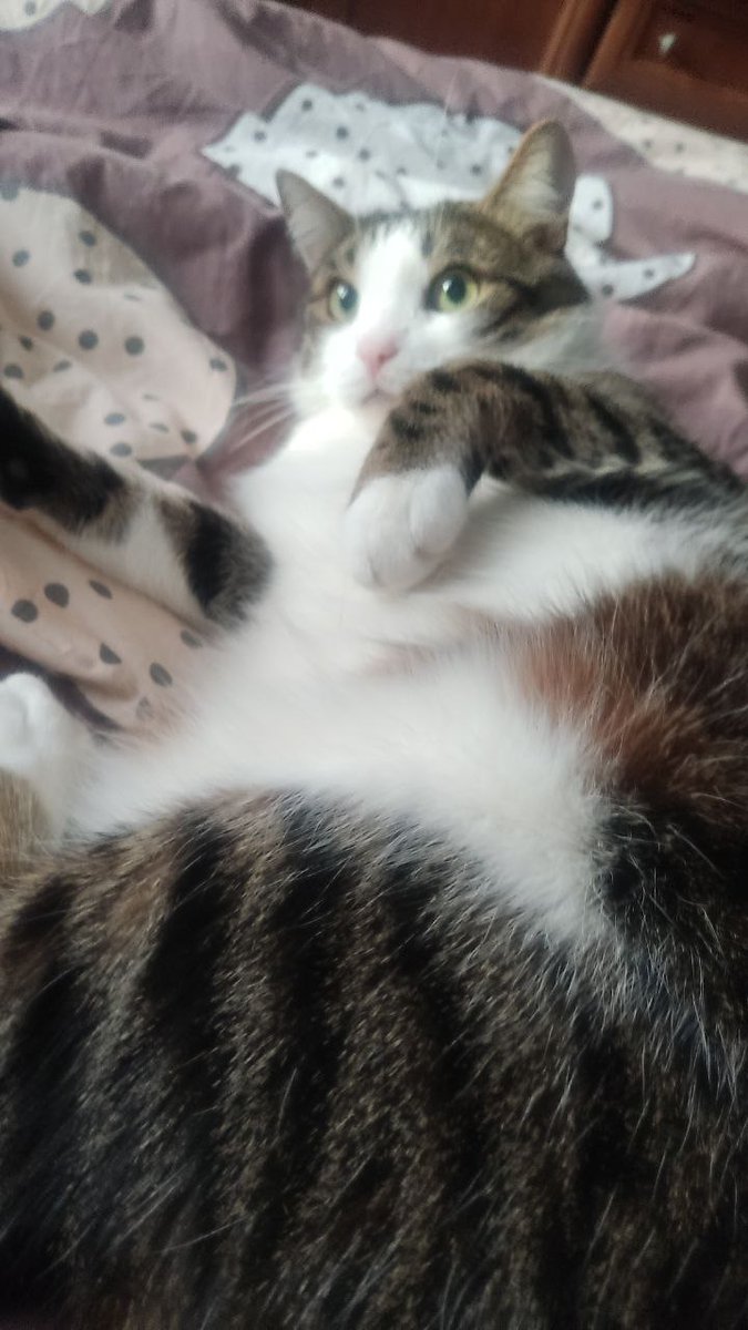 Tory Jam 🇺🇦🕊️ tweet media