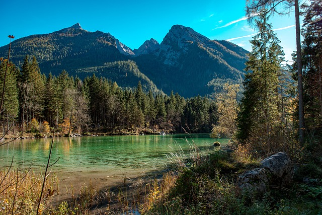 Angel Mitchell tweet media