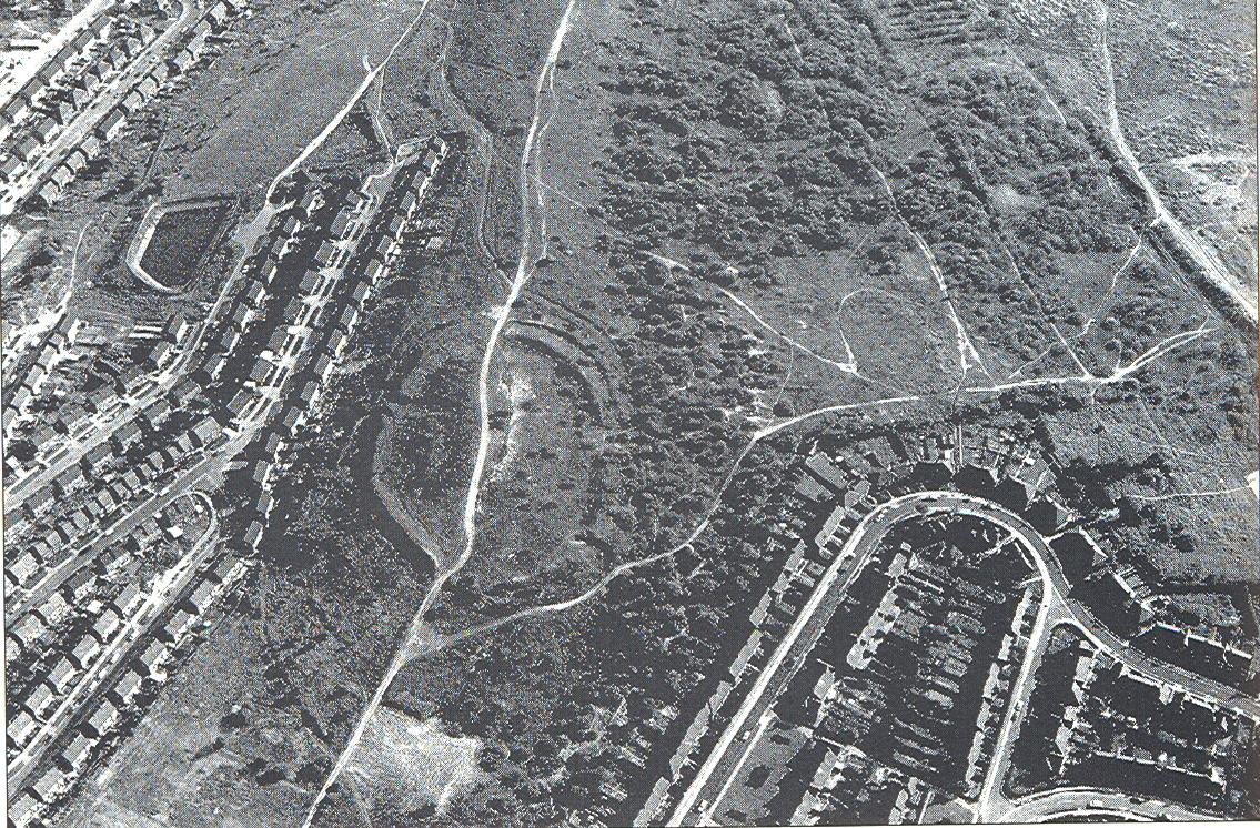 Alastair Wright tweet media