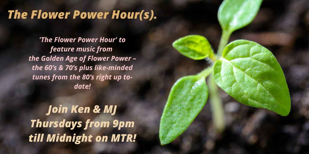 🎙 Mystery Train Radio tweet media