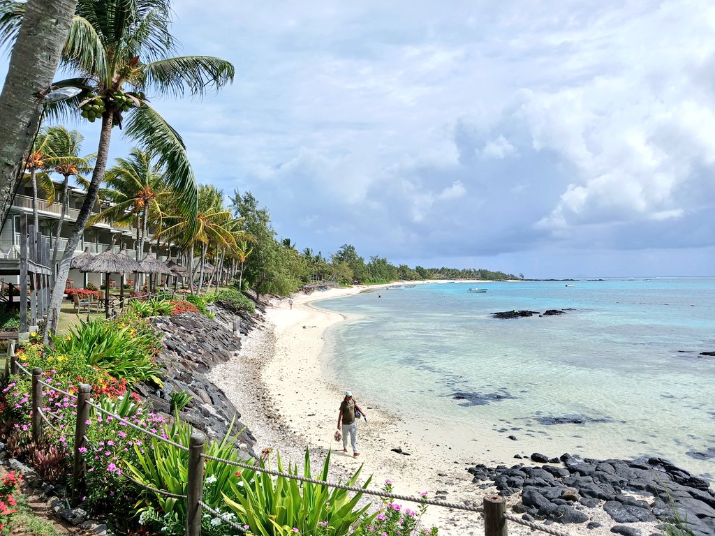 Matt Walker tweet media