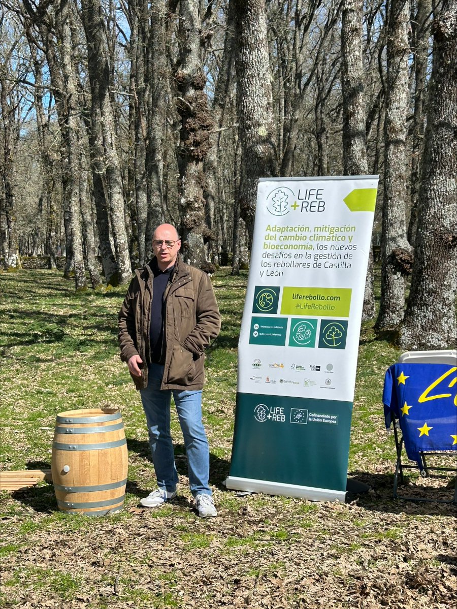 LifeRebollo tweet media