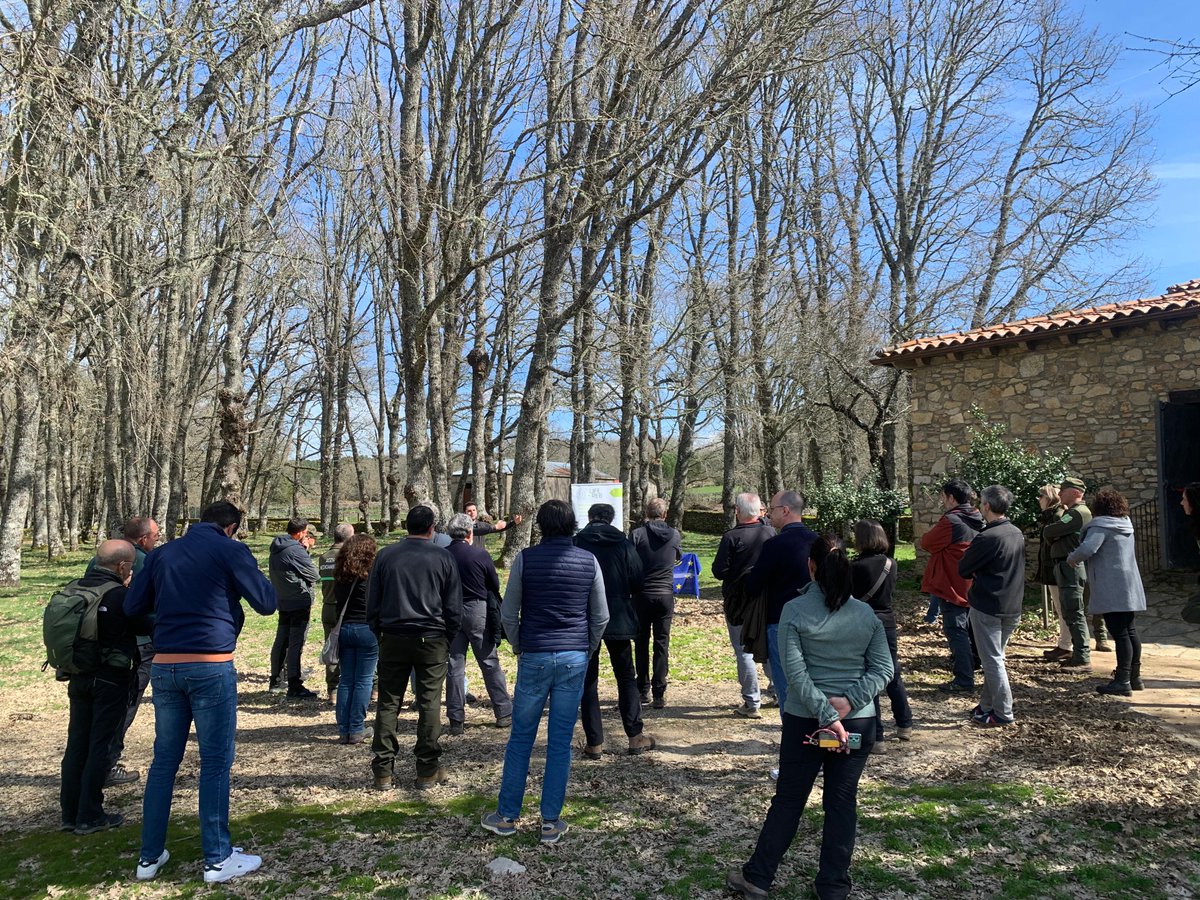 LifeRebollo tweet media