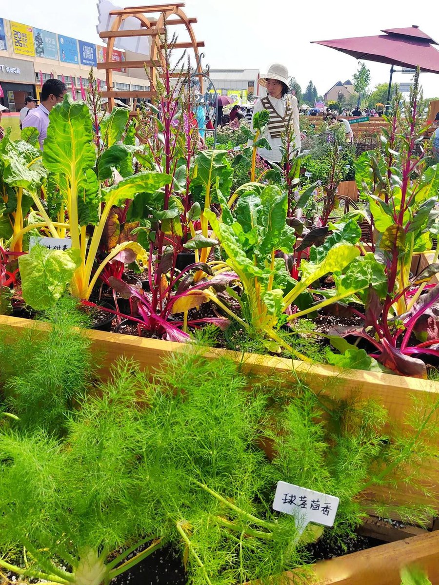 Riles Lee Smith tweet media