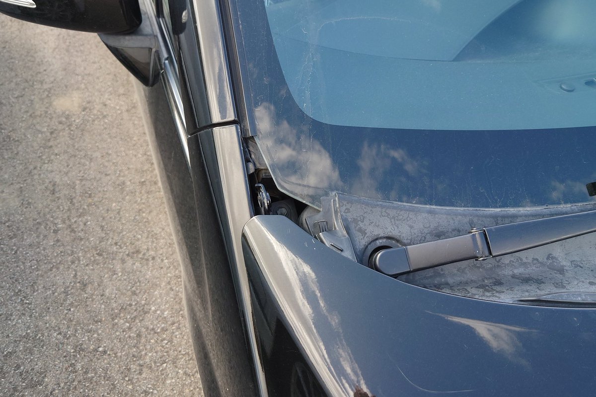 tk. bb弾正 からりお tweet media