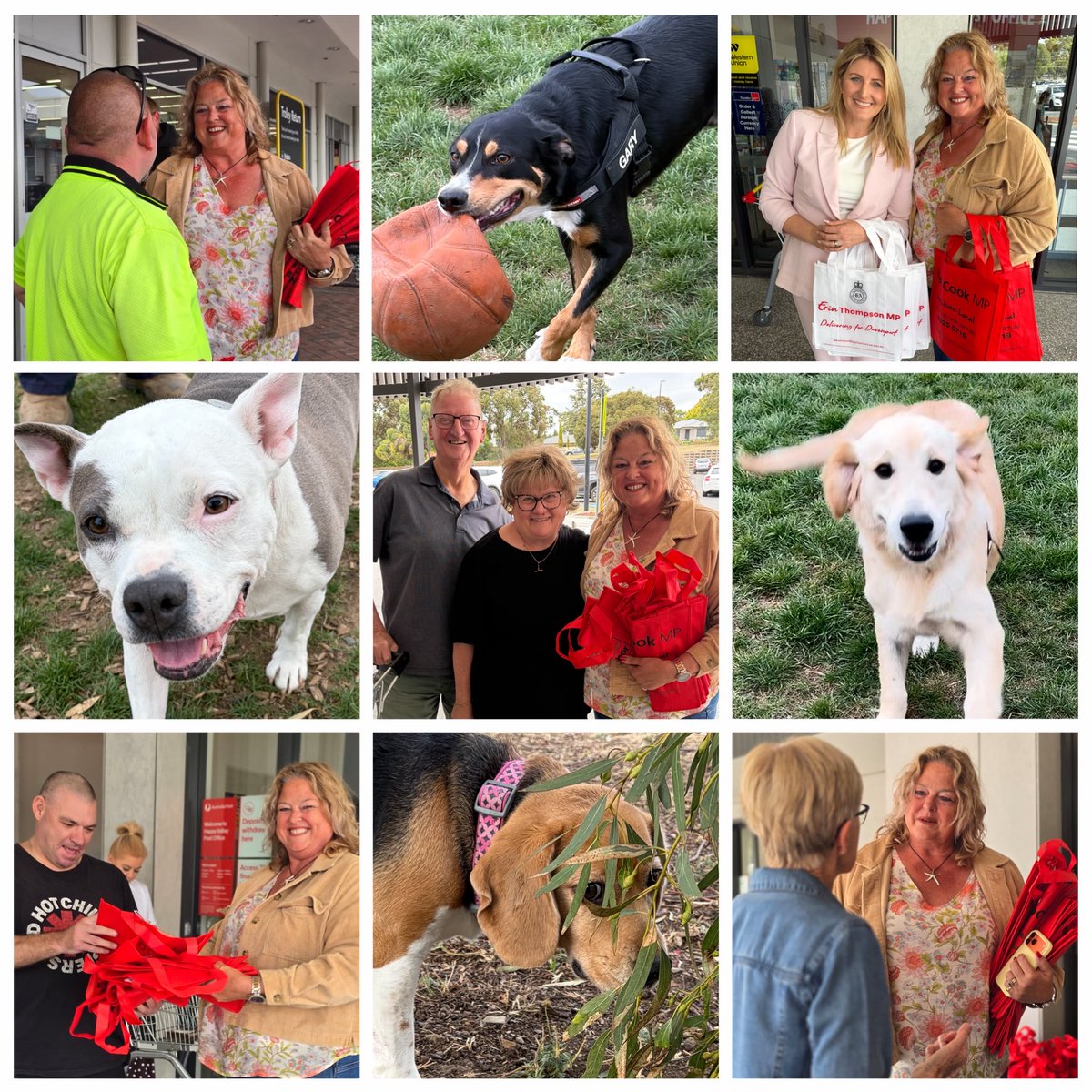 Nat Cook MP tweet media