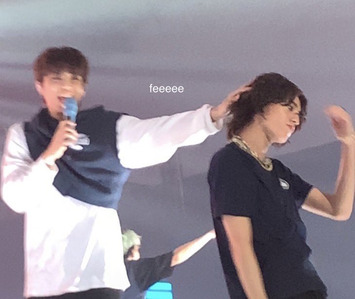 nika ✨ tweet media