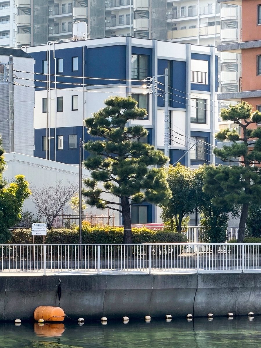 【公式】CREAL（クリアル） tweet media