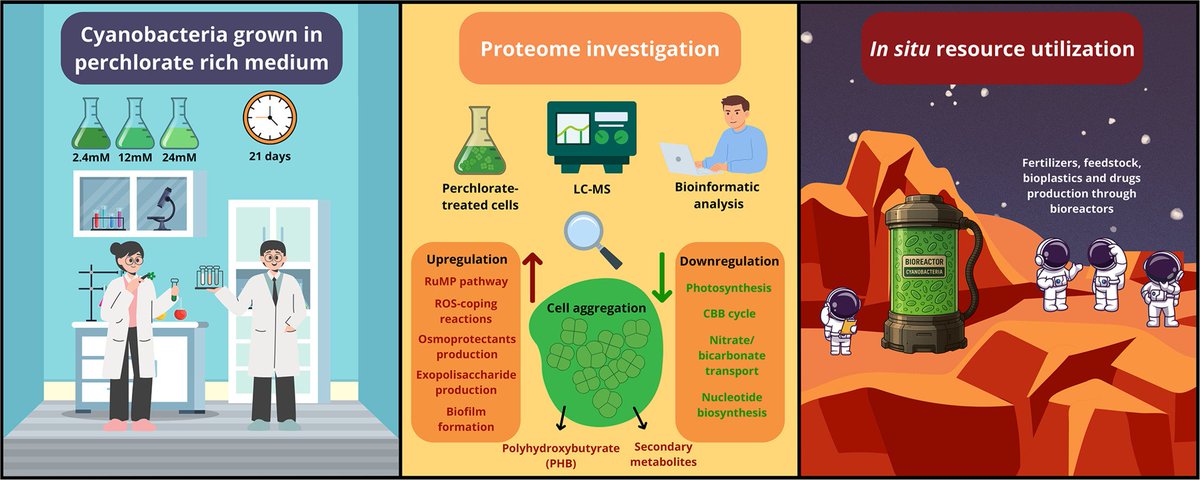 MicrobesInfect tweet media