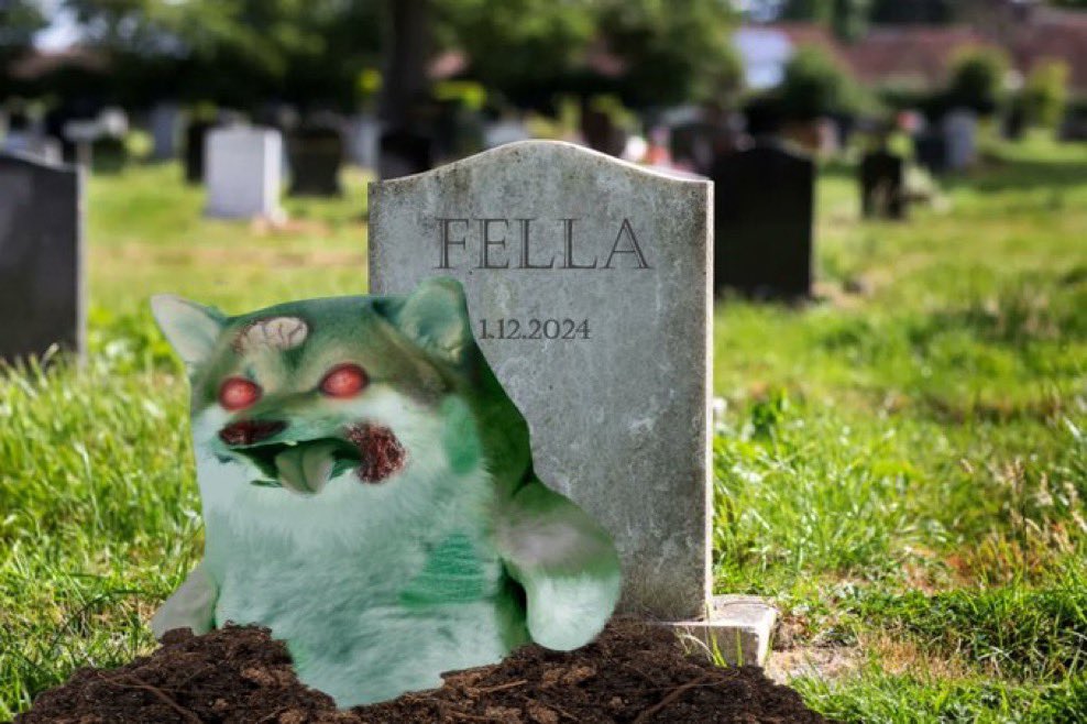 Xhitter has randomly and for no good reason, permanently suspended planet anthro’s account
Please help her rebuild
Please follow and please add her <a href="/planetfella/">PlanetFella🌏</a> account to groups anthro was in 💙💙💙
Let’s un-zombiefy her 😁