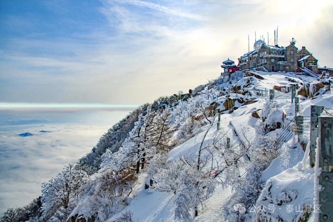 Taian of China tweet media