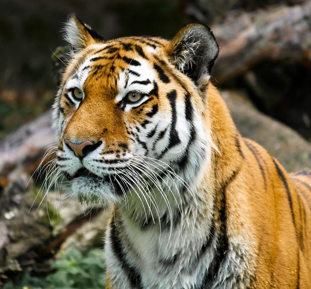 Keith York tweet media