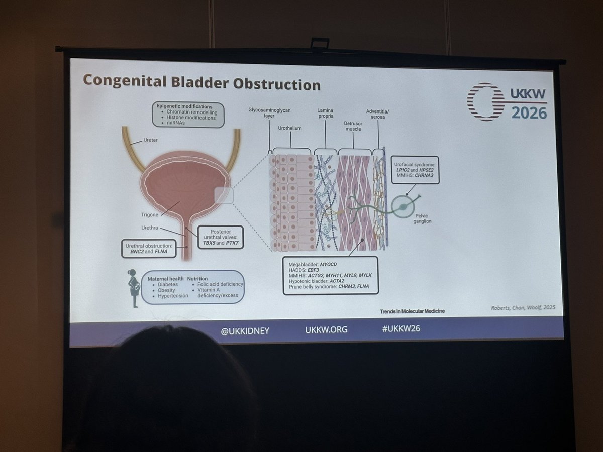 The RPSG tweet media
