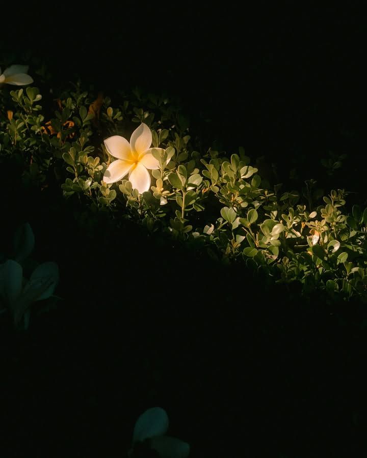 Kaderimize güzellikler yaz Allah'ım.