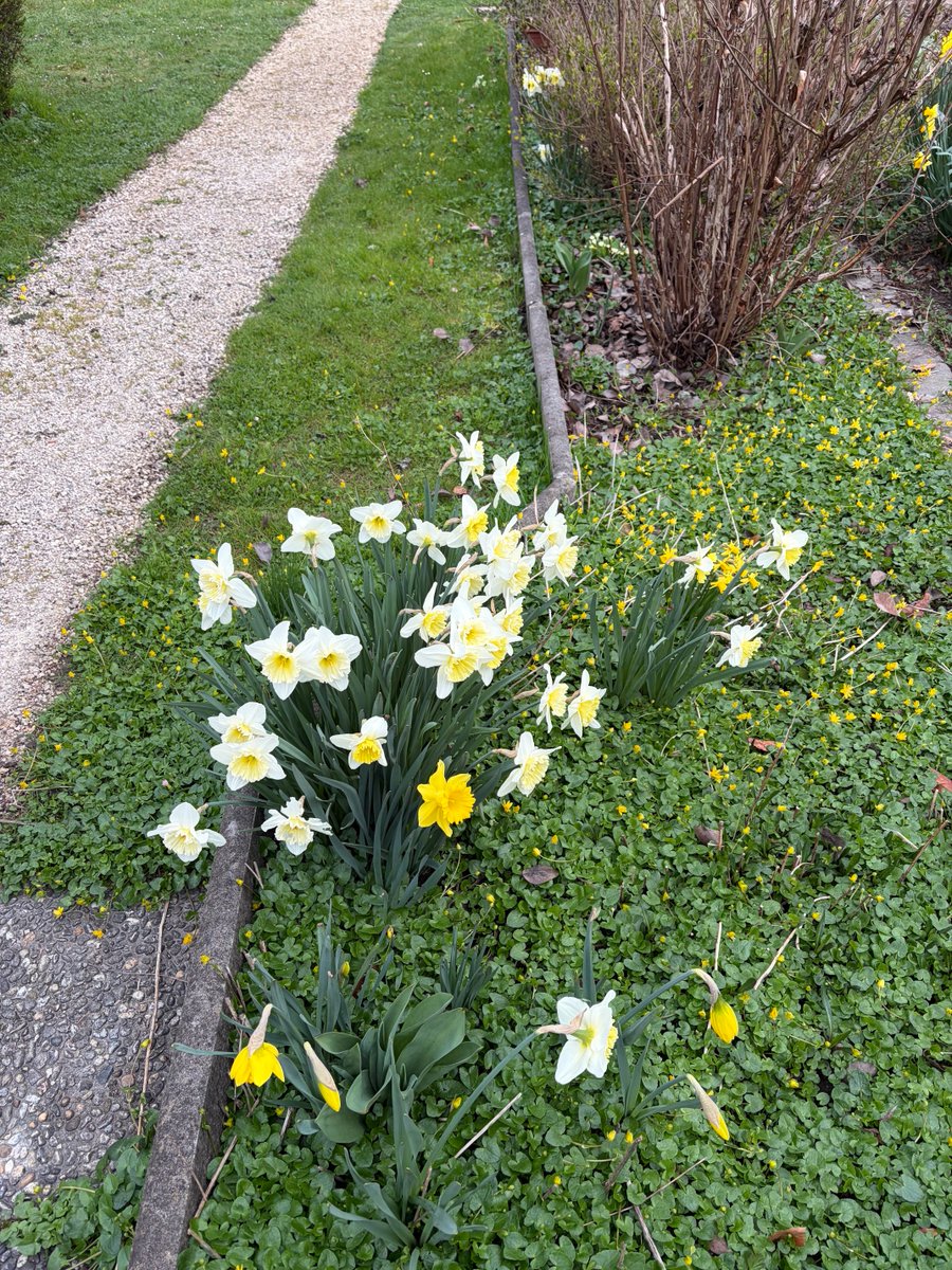 PinkTaxiRunner's tweet image. The ultimate is when I run #everysinglestreet in nature #geneva #canton