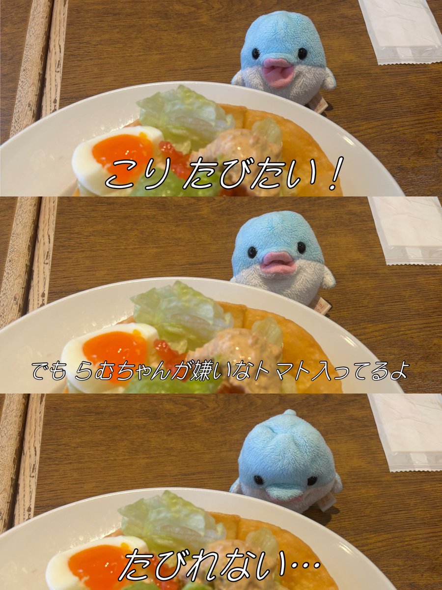 ぬいたちの日常‼️ tweet media