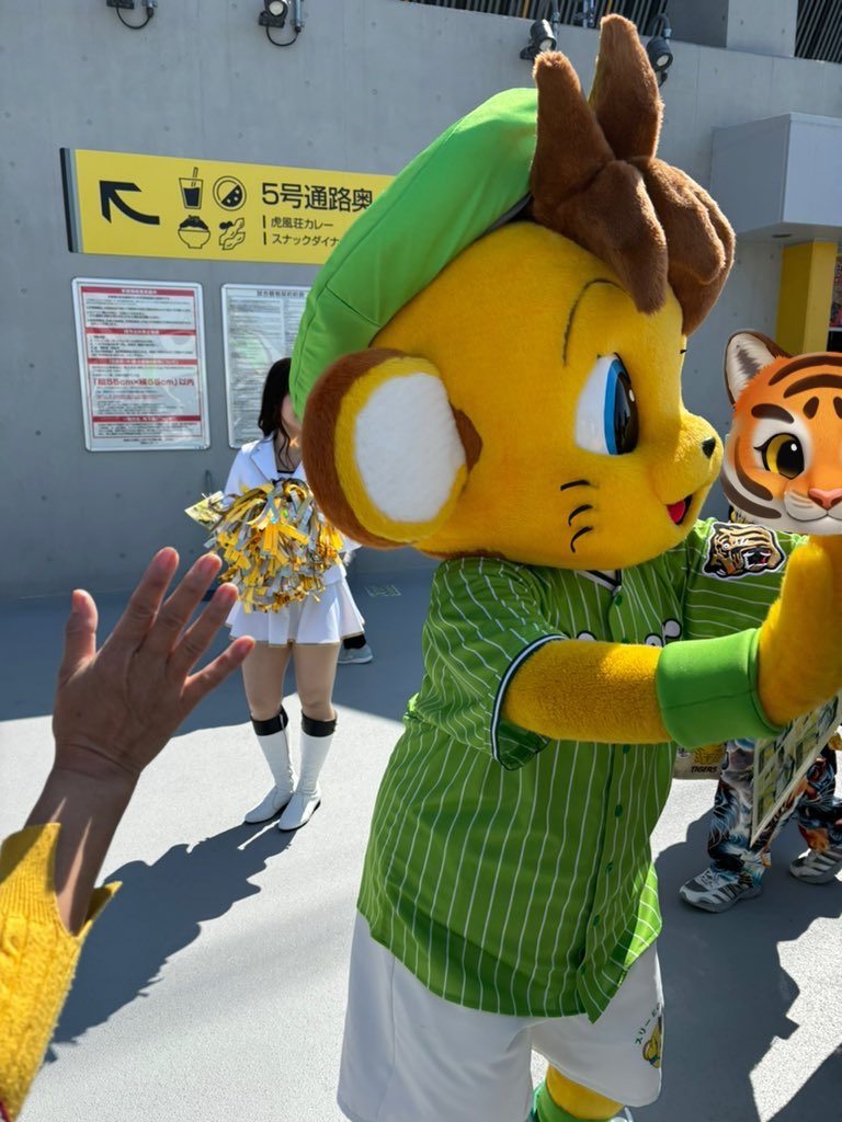 ICECREAMSAKAI's tweet photo. 2026.3.12🐯 https://t.co/O6GTcEqkoW